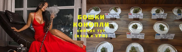 PSILOCYBIN Билибино
