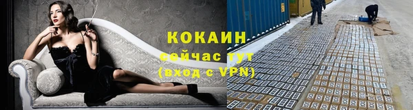 гидра Нея
