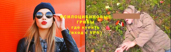 ПСИЛОЦИБИНОВЫЕ ГРИБЫ Новокубанск